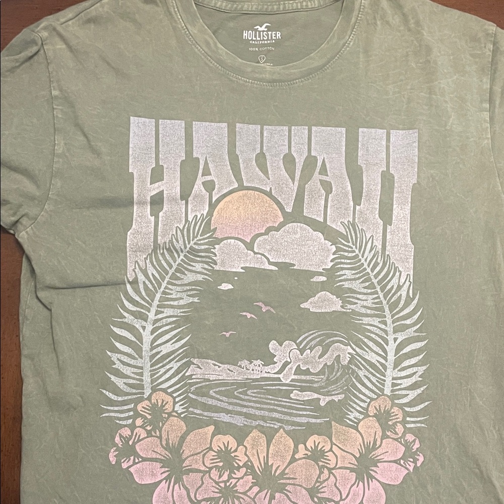 Hollister Olive Hawaii Graphic Tee